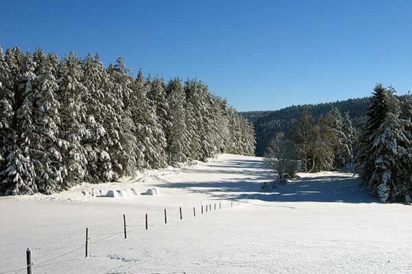 Der Florihof im Winter 11