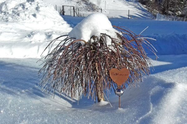 Der Florihof im Winter 3