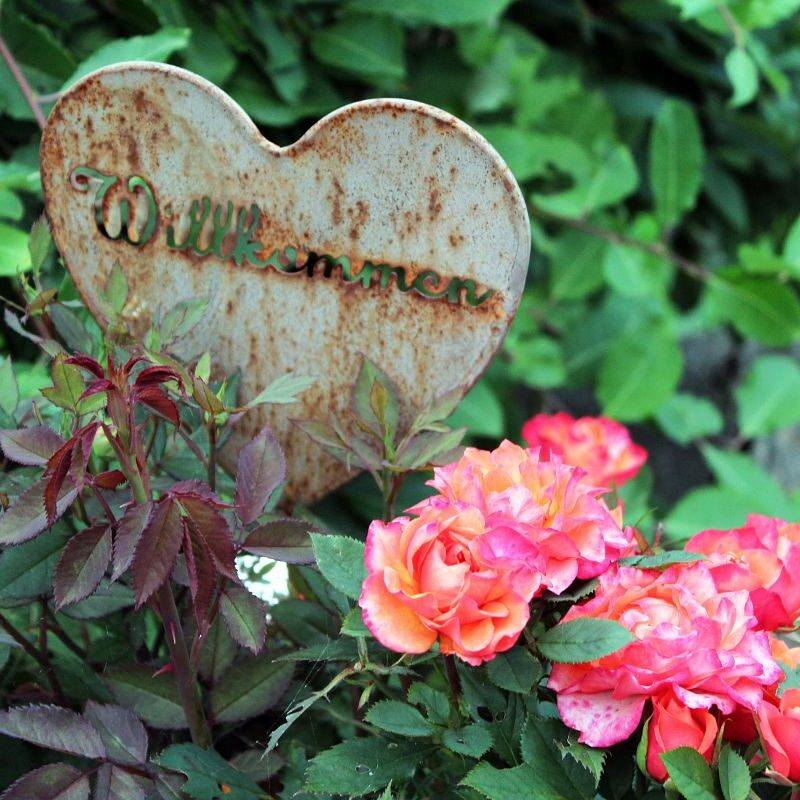 Ferienhaus Florihof 2